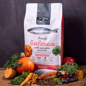 Go Native Salmon with Pumpkin &amp; Kale Sterilised Cat Food image