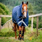 Horseware Amigo Bravo 12 Plus Heavy Turnout Rug in Navy &amp; Titanium (400g) image