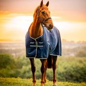 Horseware Amigo Ripstop 900D Fleece Lined Light Turnout Rug in Whitney Navy (50g) image