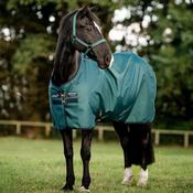 Horseware Amigo Ripstop 900D Light Turnout Rug in Dynasty Green (100g) image