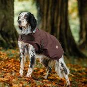 Horseware Newmarket Heritage Dog Coat in Brown image