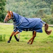 Horseware Amigo Bravo 1200D Plus Turnout Rug in Navy/Titanium Grey (400g)