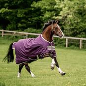 Horseware Amigo Hero Ripstop Turnout Rug Lite in Fig &amp; Tan (100g)