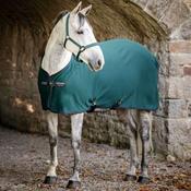Horseware Amigo Jersey Cooler Rug in Dynasty Green image