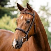 Horseware Hunter Bridle in Havana Brown image