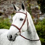 Horseware Hunter Cavesson Bridle With Reins in Brown image