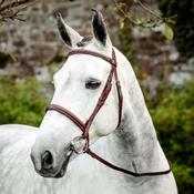 Horseware Hunter Cavesson Bridle With Reins in Brown image