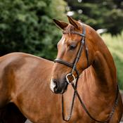 Horseware Hunter Laced Reins in Havana Brown image