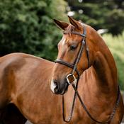 Horseware Hunter Laced Reins in Havana Brown