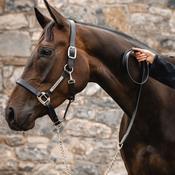 Horseware Signature Lead With Chain in Black image