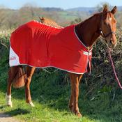 Red Mills Horse Mesh Cooler in Red image