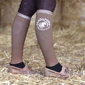 SandStorm Women's Show Riding Socks in Brown