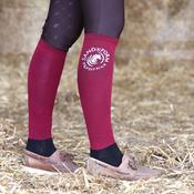 SandStorm Women's Show Riding Socks in Burgundy
