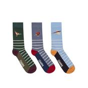 Schoffel Men's Bamboo Sock Box of 3 in Pheasant image