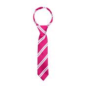 Supreme Products Show Riding Tie in Pink with Stripes