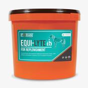 Foran Equine Equi-Lyte G Essential Powdered Electrolytes image