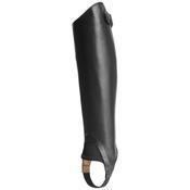 Ariat Close Contour Show Chap image