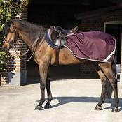 Horseware Amigo Ripstop Competition Sheet in Fig image