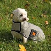 Benji &amp; Flo Silva Flash Dog Coat image
