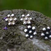 Spirit Blackberry Silver Earrings image