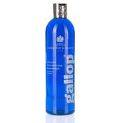 Carr &amp; Day &amp; Martin - Gallop Colour Enhancing Shampoo in Grey image