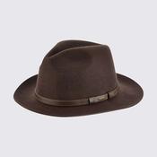 Dubarry Frontier Fedora Hat in Brown image
