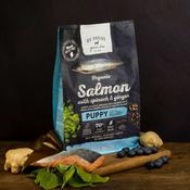 Go Native Puppy with Organic Salmon, Spinach &amp; Ginger Dog Food image