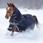 Horseware Rambo Duo Heavy Turnout Rug in Navy &amp; Blue (100g Outer with 300g Liner) image