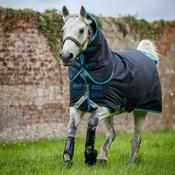 Horseware Amigo Bravo 12 Pony Plus Medium Turnout Rug in Navy &amp; Electric Blue (250g) image