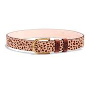 Mackenzie &amp; George Women's Tetbury Belt in Dotty Edition image