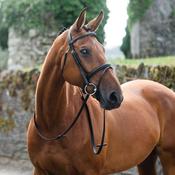 Mackey Legend Flash Bridle in Brown image