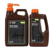 Foran Equine - Nutri-Calm Syrup image