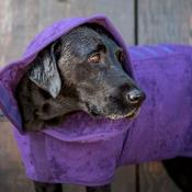 Ruff and Tumble Dog Drying Coat in Heather image