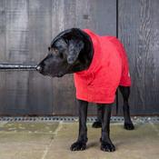 Ruff and Tumble Dog Drying Coat in Red image