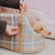 Teddy maximus dog sales carrier