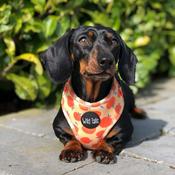 Wild Tails Georgia Dog Harness image
