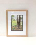 Watercolour by Brid Ni Rinn image