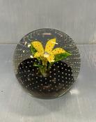 Paper Weight image