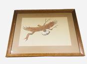 Image of a Hawk image