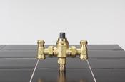 HORNE 15 THERMOSTATIC MIXING VALVE image