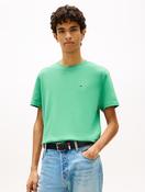 Tommy Jeans Embroidered Flag T-Shirt in Light Green image