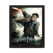 HARRY POTTER EXPELLIARMUS 3D LENTICULAR FRAMED PICTURE