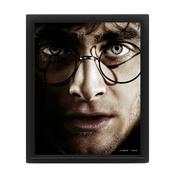 HARRY POTTER HARRY vs VOLDEMORT 3D LENTICULAR FRAMED PICTURE