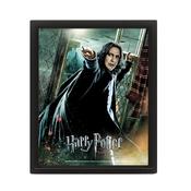 HARRY POTTER DEATHLY HALLOWS SNAPE 3D LENTICULAR FRAMED PICTURE