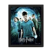 HARRY POTTER ORDER OF THE PHOENIX 3D LENTICULAR FRAMED PICTURE