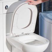 D-Shaped Toilet Seat (DTR010)
