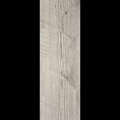Salem Cenere 20 x 60