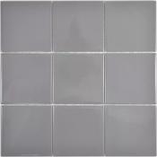 Glossy Grey 10 x 10