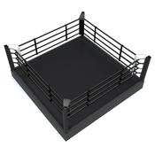 Ringsport Training Ring 3ft Platform