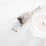 White Sage image